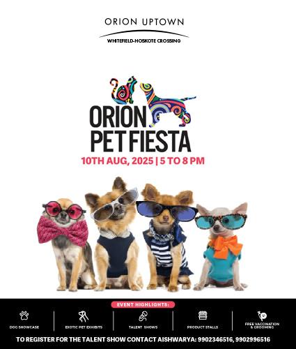 Orion Pet Fiesta 2025
