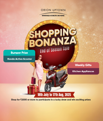 Shopping Bonanza 2025